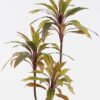 Artificial Tree 73*70*120cm Cordyline terminalis  *3 in PP pot/63 lvs GS-48524046 2024Oct YeahFlower is one of Chinese leading OEM manufacturers and exporters , supplying the silk flowers, wholesale artificial trees