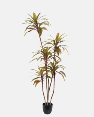 Artificial Tree 70*70*170cm Cordyline terminalis *5 in PP pot/105 lvs GS-48524047 2024Oct YeahFlower is one of Chinese leading OEM manufacturers and exporters , supplying the silk flowers, wholesale artificial trees Artificial Tree 70*70*170cm Cordyline terminalis *5 in PP pot/105 lvs GS-48524047 2024Oct YeahFlower is one of Chinese leading OEM manufacturers and exporters , supplying the silk flowers, wholesale artificial trees
