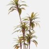 Artificial Tree Cordyline terminalis 5 in PP pot 105 lvs GS-48524047_5 Artificial Tree 70*70*170cm Cordyline terminalis *5 in PP pot/105 lvs GS-48524047 2024Oct YeahFlower is one of Chinese leading OEM manufacturers and exporters , supplying the silk flowers, wholesale artificial trees