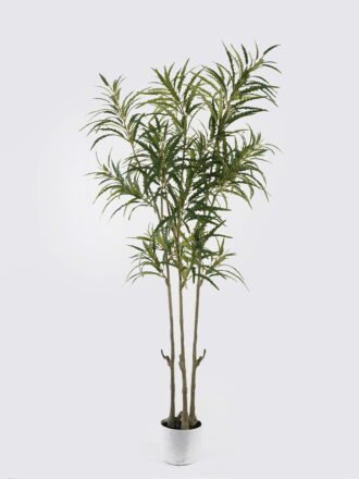 Artificial Tree 70*60*210cm Dizygotheca elegantissima *3 in PP pot/532 lvs GS-48524053 Tree&Plant 3,000+ sqm showroom with thousands of artificial flowers, plants & trees ready for global sourcing.