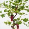 Artificial Tree 65*65*175cm Grapevine in PP Pot/161 Lvs GS-71024026 Tree&Plant 3,000+ sqm showroom with thousands of artificial flowers, plants & trees ready for global sourcing.