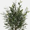 Artificial Tree 50*50*95cm Leaf plastic olive in PP pot/684 Lvs GS-59524039 2024Oct YeahFlower is one of Chinese leading OEM manufacturers and exporters , supplying the silk flowers, wholesale artificial trees