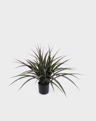 Artificial Tree 71*71*60cm Leaf red-edged iron leaf *3 in PP pot/69 Lvs GS-59524042 2024Oct YeahFlower is one of Chinese leading OEM manufacturers and exporters , supplying the silk flowers, wholesale artificial trees