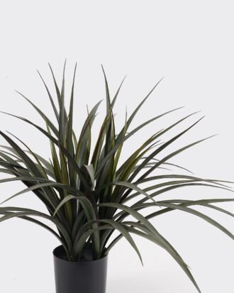 Artificial Tree 71*71*60cm Leaf red-edged iron leaf *3 in PP pot/69 Lvs GS-59524042 2024Oct YeahFlower is one of Chinese leading OEM manufacturers and exporters , supplying the silk flowers, wholesale artificial trees