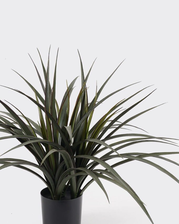 Artificial Tree 71*71*60cm Leaf red-edged iron leaf *3 in PP pot/69 Lvs GS-59524042 2024Oct YeahFlower is one of Chinese leading OEM manufacturers and exporters , supplying the silk flowers, wholesale artificial trees