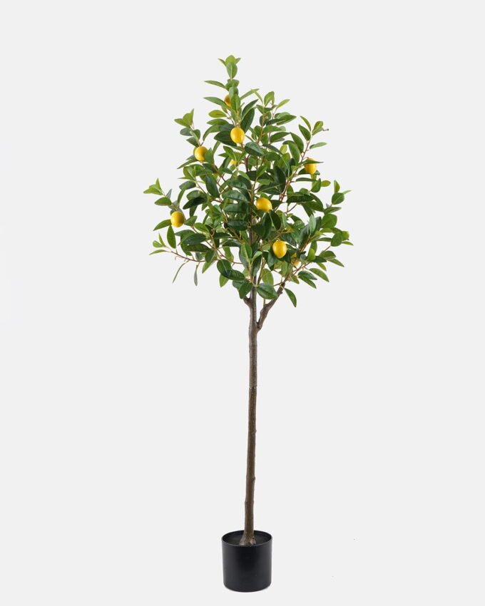Artificial Tree 60*60*150cm   Lemon Tree in  pp pot GS-29824052KD 2024Oct YeahFlower is one of Chinese leading OEM manufacturers and exporters , supplying the silk flowers, wholesale artificial trees
