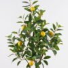 Artificial Tree Lemon Tree in pp pot GS-29824053KD_6 Artificial Tree 43*43*120cm Lemon Tree in pp pot GS-29824053KD 2024Oct YeahFlower is one of Chinese leading OEM manufacturers and exporters , supplying the silk flowers, wholesale artificial trees