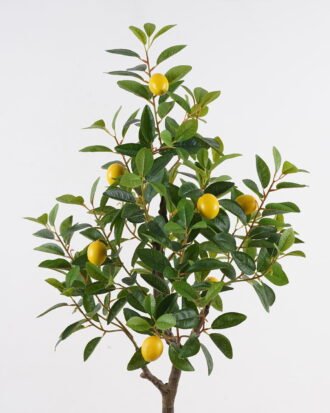 Artificial Tree 43*43*120cm Lemon Tree in pp pot GS-29824053KD 2024Oct YeahFlower is one of Chinese leading OEM manufacturers and exporters , supplying the silk flowers, wholesale artificial trees Artificial Tree 43*43*120cm Lemon Tree in pp pot GS-29824053KD 2024Oct YeahFlower is one of Chinese leading OEM manufacturers and exporters , supplying the silk flowers, wholesale artificial trees