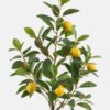 Artificial Tree Lemon Tree in pp pot GS-29824054_5 Artificial Tree 36*36*80cm Lemon Tree in pp pot GS-29824054 2024Oct YeahFlower is one of Chinese leading OEM manufacturers and exporters , supplying the silk flowers, wholesale artificial trees