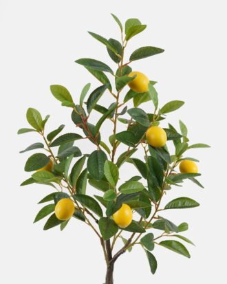 Artificial Tree 36*36*80cm Lemon Tree in pp pot GS-29824054 2024Oct YeahFlower is one of Chinese leading OEM manufacturers and exporters , supplying the silk flowers, wholesale artificial trees Artificial Tree 36*36*80cm Lemon Tree in pp pot GS-29824054 2024Oct YeahFlower is one of Chinese leading OEM manufacturers and exporters , supplying the silk flowers, wholesale artificial trees