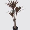 Artificial Tree 70X60X110cm Maguey in PP pot/56 LVS GS-59524052 2024Oct YeahFlower is one of Chinese leading OEM manufacturers and exporters , supplying the silk flowers, wholesale artificial trees