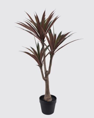 Artificial Tree 70X60X110cm Maguey in PP pot/56 LVS GS-59524052 2024Oct YeahFlower is one of Chinese leading OEM manufacturers and exporters , supplying the silk flowers, wholesale artificial trees Artificial Tree 70X60X110cm Maguey in PP pot/56 LVS GS-59524052 2024Oct YeahFlower is one of Chinese leading OEM manufacturers and exporters , supplying the silk flowers, wholesale artificial trees