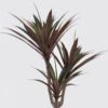 Artificial Tree 70X60X110cm Maguey in PP pot/56 LVS GS-59524052 2024Oct YeahFlower is one of Chinese leading OEM manufacturers and exporters , supplying the silk flowers, wholesale artificial trees