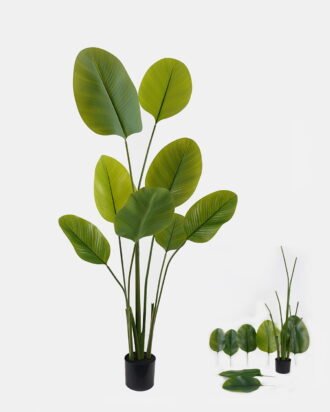 Artificial Tree 60*36*160cm Marantaceae *3  in PP pot/8 lvs GS-48524027KD 2024Oct YeahFlower is one of Chinese leading OEM manufacturers and exporters , supplying the silk flowers, wholesale artificial trees