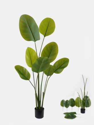 Artificial Tree 80*70*160cm Datura tree *3 in PP pot/16 lvs GS-48524026 Tree&Plant 3,000+ sqm showroom with thousands of artificial flowers, plants & trees ready for global sourcing.
