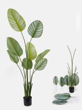 Artificial Tree 70*70*180cm Marantaceae *5  in PP pot/10 lvs GS-48524028KD Tree&Plant 3,000+ sqm showroom with thousands of artificial flowers, plants & trees ready for global sourcing.