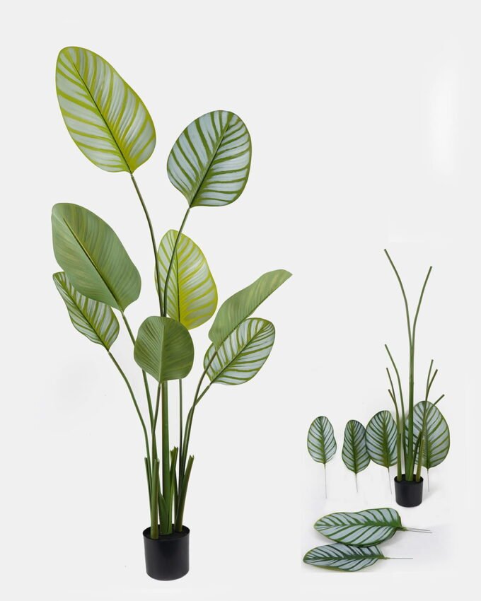 Artificial Tree 50*50*160cm Marantaceae *3 in PP pot/8 lvs GS-48524029KD 2024Oct YeahFlower is one of Chinese leading OEM manufacturers and exporters , supplying the silk flowers, wholesale artificial trees