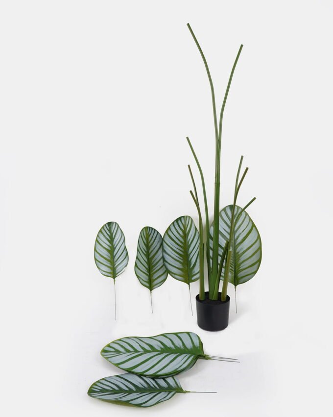 Artificial Tree 50*50*160cm Marantaceae *3 in PP pot/8 lvs GS-48524029KD 2024Oct YeahFlower is one of Chinese leading OEM manufacturers and exporters , supplying the silk flowers, wholesale artificial trees