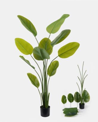 Artificial Tree 70*70*180cm Marantaceae *5  in PP pot/10 lvs GS-48524028KD 2024Oct YeahFlower is one of Chinese leading OEM manufacturers and exporters , supplying the silk flowers, wholesale artificial trees