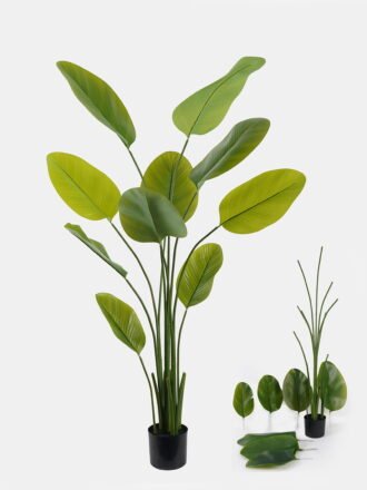 Artificial Tree 60*36*160cm Marantaceae *3  in PP pot/8 lvs GS-48524027KD Tree&Plant 3,000+ sqm showroom with thousands of artificial flowers, plants & trees ready for global sourcing.