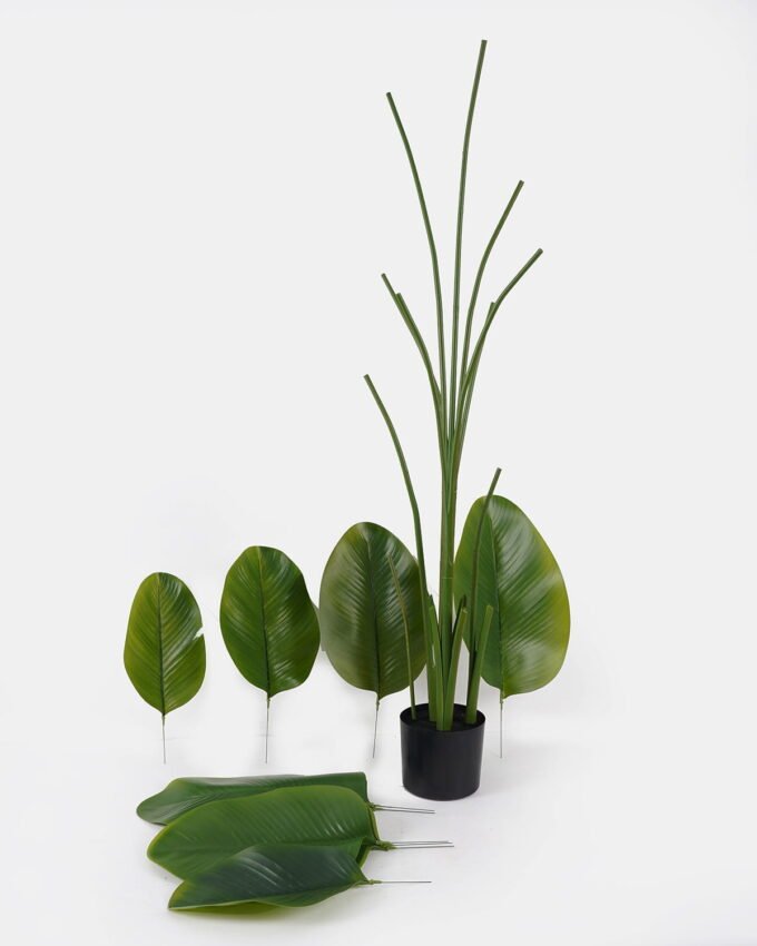 Artificial Tree 70*70*180cm Marantaceae *5  in PP pot/10 lvs GS-48524028KD 2024Oct YeahFlower is one of Chinese leading OEM manufacturers and exporters , supplying the silk flowers, wholesale artificial trees