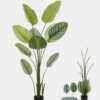 Artificial Tree 70*70*180cm Marantaceae *5 in PP pot/10 lvs GS-48524030KD 2024Oct YeahFlower is one of Chinese leading OEM manufacturers and exporters , supplying the silk flowers, wholesale artificial trees