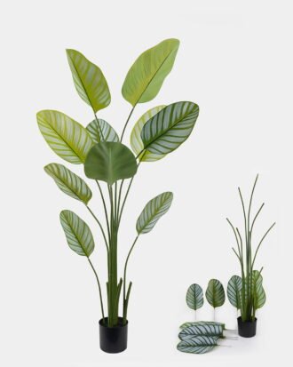 Artificial Tree 70*70*180cm Marantaceae *5 in PP pot/10 lvs GS-48524030KD 2024Oct YeahFlower is one of Chinese leading OEM manufacturers and exporters , supplying the silk flowers, wholesale artificial trees