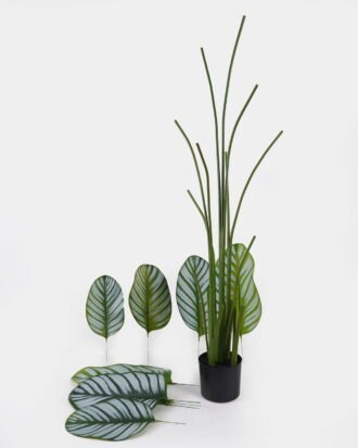 Artificial Tree 70*70*180cm Marantaceae *5 in PP pot/10 lvs GS-48524030KD 2024Oct YeahFlower is one of Chinese leading OEM manufacturers and exporters , supplying the silk flowers, wholesale artificial trees