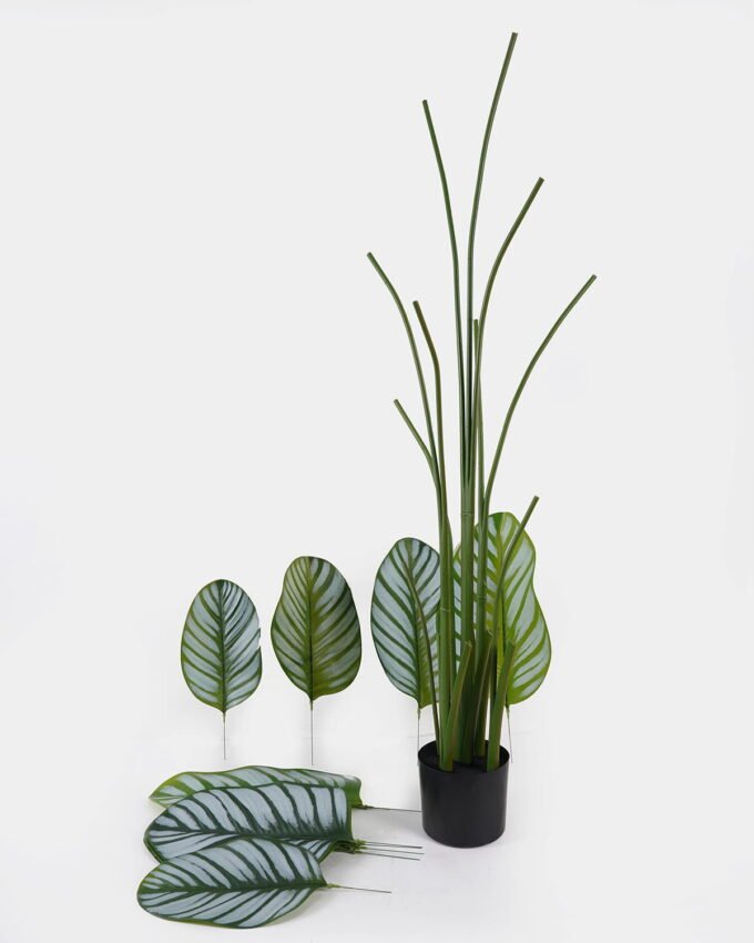 Artificial Tree 70*70*180cm Marantaceae *5 in PP pot/10 lvs GS-48524030KD 2024Oct YeahFlower is one of Chinese leading OEM manufacturers and exporters , supplying the silk flowers, wholesale artificial trees