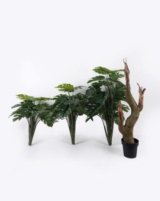 Artificial Tree 110*110*210cm Monstera in PP pot/51 lvs GS-30424056KD 2024Oct YeahFlower is one of Chinese leading OEM manufacturers and exporters , supplying the silk flowers, wholesale artificial trees Artificial Tree 110*110*210cm Monstera in PP pot/51 lvs GS-30424056KD 2024Oct YeahFlower is one of Chinese leading OEM manufacturers and exporters , supplying the silk flowers, wholesale artificial trees