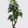 Artificial Tree 110*110*210cm Monstera in PP pot/51 lvs GS-30424056KD 2024Oct YeahFlower is one of Chinese leading OEM manufacturers and exporters , supplying the silk flowers, wholesale artificial trees