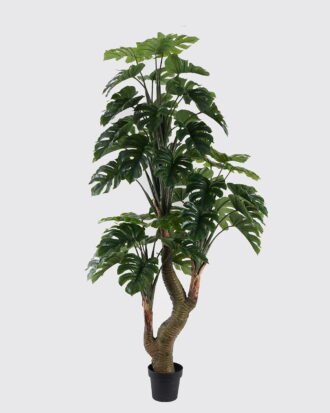 Artificial Tree 110*110*210cm Monstera in PP pot/51 lvs GS-30424056KD 2024Oct YeahFlower is one of Chinese leading OEM manufacturers and exporters , supplying the silk flowers, wholesale artificial trees Artificial Tree 110*110*210cm Monstera in PP pot/51 lvs GS-30424056KD 2024Oct YeahFlower is one of Chinese leading OEM manufacturers and exporters , supplying the silk flowers, wholesale artificial trees
