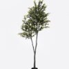 Artificial Tree Olive Tree in PP pot 1620 lvs GS-30424058KD_1 Artificial Tree 80*70*210cm Olive Tree in PP pot/1620 lvs GS-30424058KD 2024Oct YeahFlower is one of Chinese leading OEM manufacturers and exporters , supplying the silk flowers, wholesale artificial trees