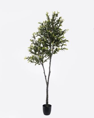 Artificial Tree 80*70*210cm Olive Tree in PP pot/1620 lvs GS-30424058KD 2024Oct YeahFlower is one of Chinese leading OEM manufacturers and exporters , supplying the silk flowers, wholesale artificial trees Artificial Tree 80*70*210cm Olive Tree in PP pot/1620 lvs GS-30424058KD 2024Oct YeahFlower is one of Chinese leading OEM manufacturers and exporters , supplying the silk flowers, wholesale artificial trees