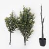 Artificial Tree Olive Tree in PP pot 1620 lvs GS-30424058KD_4 Artificial Tree 80*70*210cm Olive Tree in PP pot/1620 lvs GS-30424058KD 2024Oct YeahFlower is one of Chinese leading OEM manufacturers and exporters , supplying the silk flowers, wholesale artificial trees