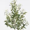 Artificial Tree Olive tree in PP pot GS-48524035_6 Artificial Tree 60*50*120cm Olive tree in PP pot GS-48524035 2024Oct YeahFlower is one of Chinese leading OEM manufacturers and exporters , supplying the silk flowers, wholesale artificial trees