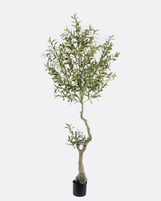 Artificial Tree 70*60*210cm Olive tree in PP pot GS-48524039 2024Oct YeahFlower is one of Chinese leading OEM manufacturers and exporters , supplying the silk flowers, wholesale artificial trees Artificial Tree 70*60*210cm Olive tree in PP pot GS-48524039 2024Oct YeahFlower is one of Chinese leading OEM manufacturers and exporters , supplying the silk flowers, wholesale artificial trees