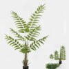 Artificial Tree Polystichum acanthophyllum in PP pot GS-48524040KD_7 Artificial Tree 90*80*170cm Polystichum acanthophyllum in PP pot GS-48524040KD 2024Oct YeahFlower is one of Chinese leading OEM manufacturers and exporters , supplying the silk flowers, wholesale artificial trees