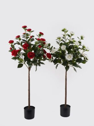 Artificial Tree 86*86*120cm Leaf red-edged iron leaf *2 in PP pot/135 Lvs GS-59524043KD Tree&Plant 3,000+ sqm showroom with thousands of artificial flowers, plants & trees ready for global sourcing.