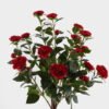 Artificial Tree 50*38*125cm Safflower Camellia tree in PP pot GS-59524044KD-R1 2024Oct YeahFlower is one of Chinese leading OEM manufacturers and exporters , supplying the silk flowers, wholesale artificial trees