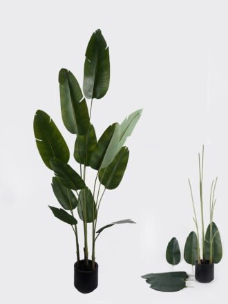 Artificial Tree 70*70*180cm Marantaceae *5 in PP pot/10 lvs GS-48524030KD Tree&Plant 3,000+ sqm showroom with thousands of artificial flowers, plants & trees ready for global sourcing.