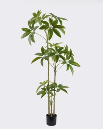 Artificial Tree 70*60*150cm Tree *3 in PP pot/16 lvs GS-48524051 2024Oct YeahFlower is one of Chinese leading OEM manufacturers and exporters , supplying the silk flowers, wholesale artificial trees Artificial Tree 70*60*150cm Tree *3 in PP pot/16 lvs GS-48524051 2024Oct YeahFlower is one of Chinese leading OEM manufacturers and exporters , supplying the silk flowers, wholesale artificial trees