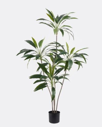 Artificial Tree 80*75*140cm Tree *5 in PP pot/126 lvs GS-48524049 2024Oct YeahFlower is one of Chinese leading OEM manufacturers and exporters , supplying the silk flowers, wholesale artificial trees Artificial Tree 80*75*140cm Tree *5 in PP pot/126 lvs GS-48524049 2024Oct YeahFlower is one of Chinese leading OEM manufacturers and exporters , supplying the silk flowers, wholesale artificial trees