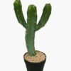 Artificial succulent Cactus in PP pot GS-51424001 Artificial succulent 20*7*41cm Cactus in PP pot GS-51424001 2024Oct YeahFlower is one of Chinese leading OEM manufacturers and exporters , supplying the silk flowers, wholesale artificial trees