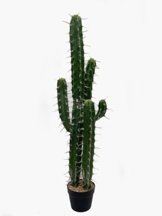 Artificial succulent 23*9*57cm  Cactus in PP pot GS-51424002 Succulent 3,000+ sqm showroom with thousands of artificial flowers, plants & trees ready for global sourcing.