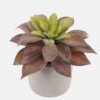 Artificial succulent Succulent plants in Cement pot GS-51724028_6 Artificial succulent 19*19*18cm Succulent plants in Cement pot GS-51724028 2024Oct YeahFlower is one of Chinese leading OEM manufacturers and exporters , supplying the silk flowers, wholesale artificial trees