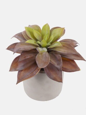 Artificial succulent 16*16*14cm Succulent plants in cemnet pot GS-51724029 Succulent 3,000+ sqm showroom with thousands of artificial flowers, plants & trees ready for global sourcing.
