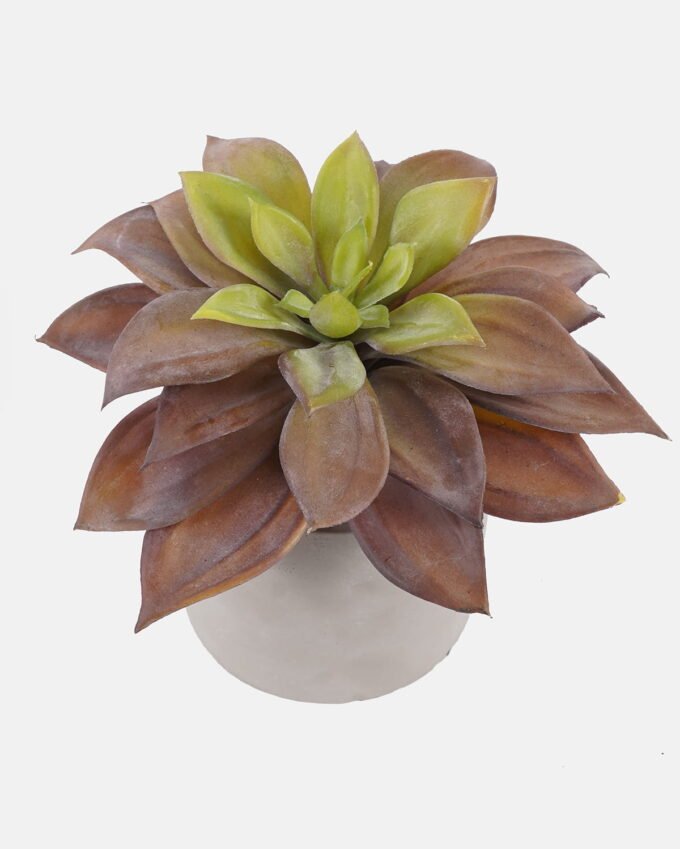 Artificial succulent Succulent plants in Cement pot GS-51724028_7 Artificial succulent 19*19*18cm Succulent plants in Cement pot GS-51724028 2024Oct YeahFlower is one of Chinese leading OEM manufacturers and exporters , supplying the silk flowers, wholesale artificial trees