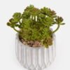 Artificial succulent Succulent plants in Cement pot GS-51724030_1 Artificial succulent 12*12*14cm Succulent plants in Cement pot GS-51724030 2024Oct YeahFlower is one of Chinese leading OEM manufacturers and exporters , supplying the silk flowers, wholesale artificial trees