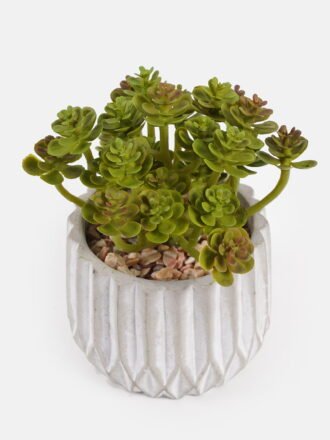 Artificial succulent 16*16*14cm Succulent plants in cemnet pot GS-51724029 Succulent 3,000+ sqm showroom with thousands of artificial flowers, plants & trees ready for global sourcing.